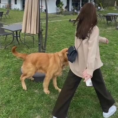 微不足道的人们